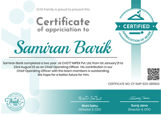  experience Certificate